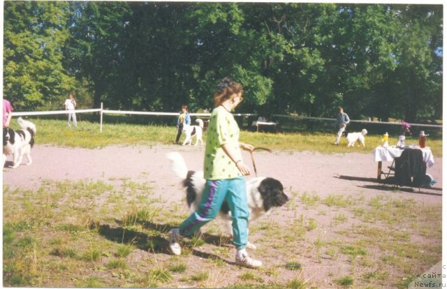 Фотография № 60822