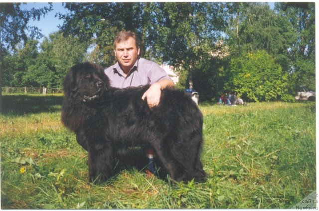 Фотография № 60823