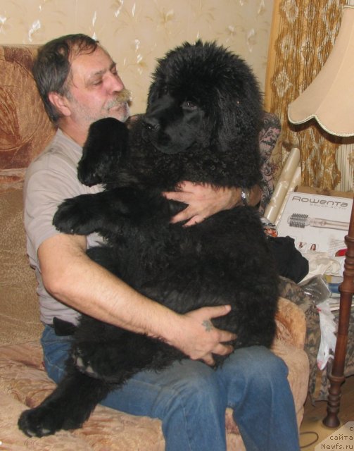 Фотография № 60844