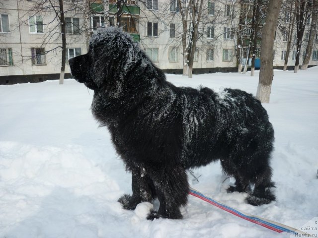 Фотография № 60846