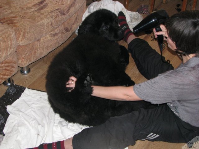 Фотография № 60862