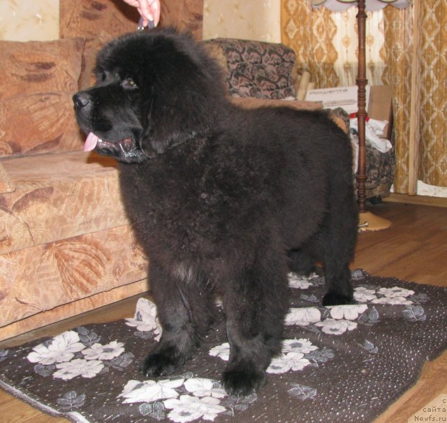 Фотография № 60864