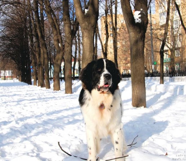 Фотография № 60878