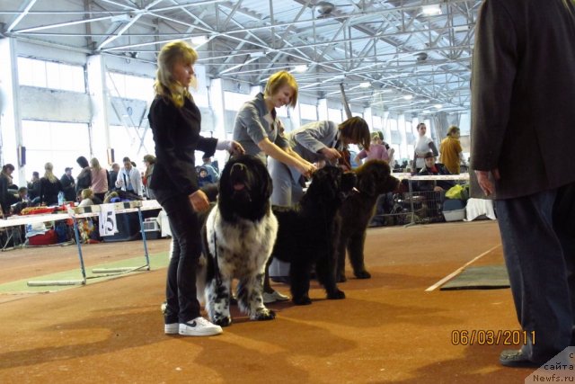 Фотография № 60884