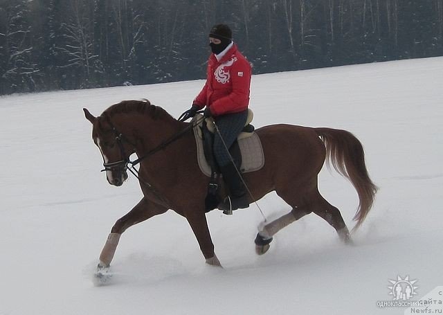 Фото: Mariya SHigal' (Мария Шигаль)