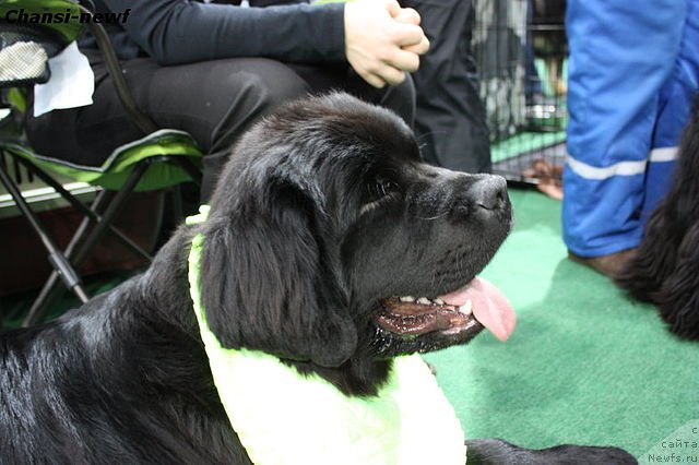 Фотография № 60910