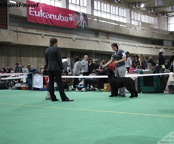 Фотография № 60913