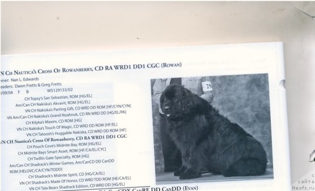 Фотография № 60921