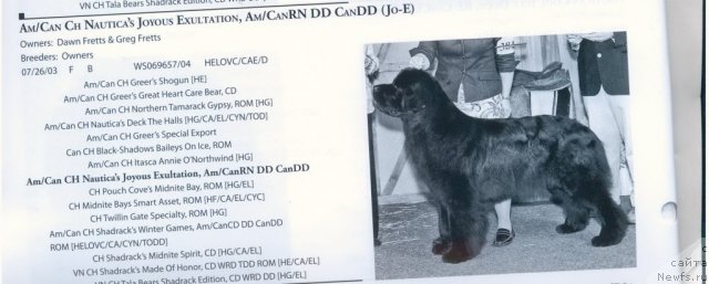 Фотография № 60923