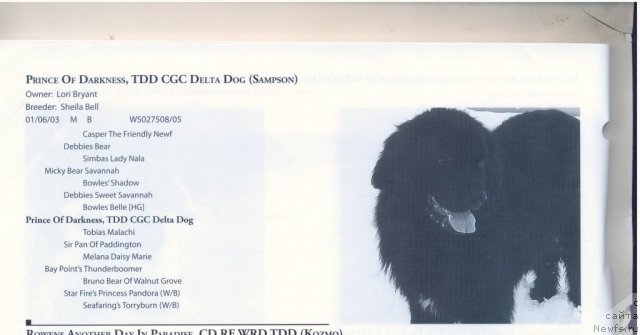 Фотография № 60930