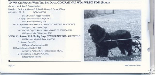 Фотография № 60932