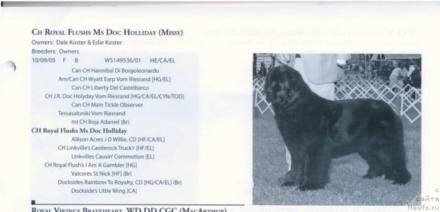 Фотография № 60933