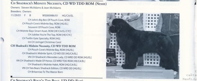 Фотография № 60939