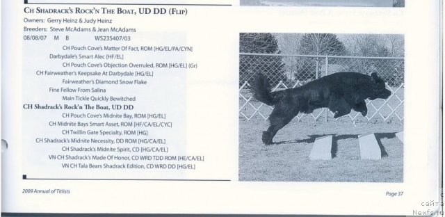 Фотография № 60940