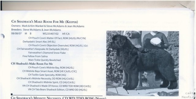 Фотография № 60941