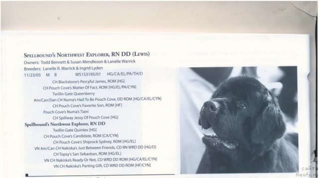 Фотография № 60942