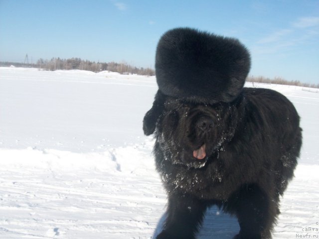 Фотография № 60959