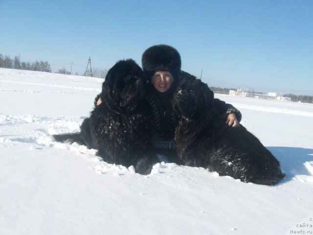 Фотография № 60960