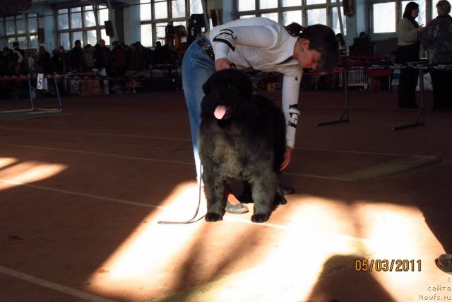 Фотография № 60963