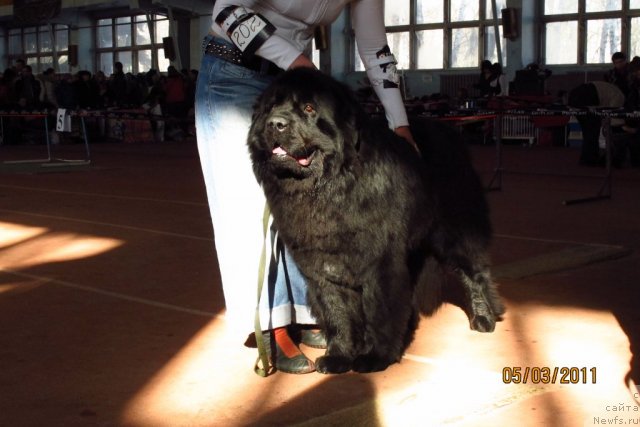 Фотография № 60964