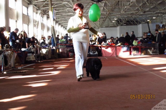 Фотография № 60965