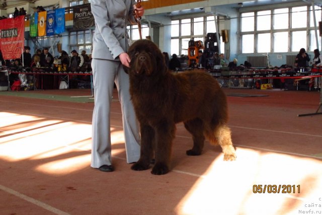 Фотография № 60967