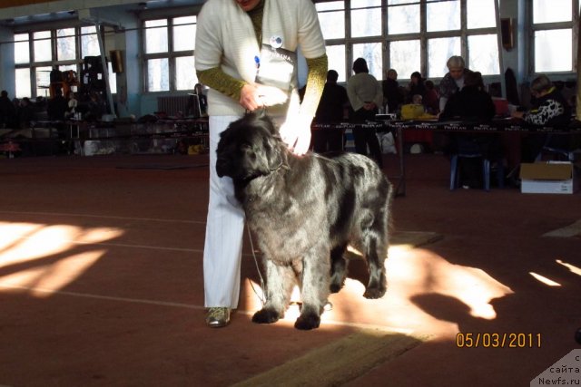 Фотография № 60971