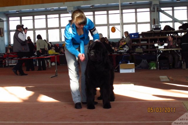 Фотография № 60973