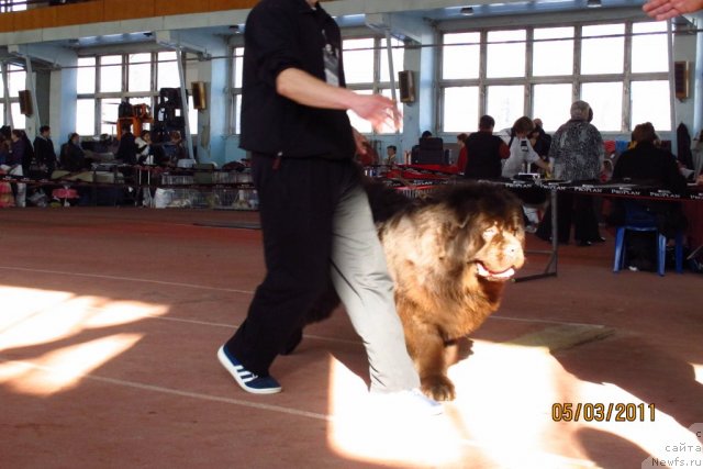 Фотография № 60974