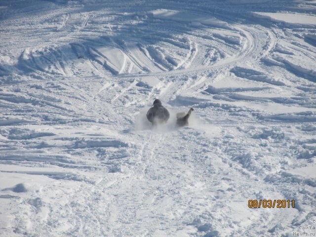 Фото: Aleksey Nistratov (Алексей Нистратов), Даник