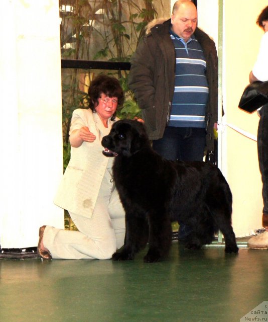 Фотография № 61022