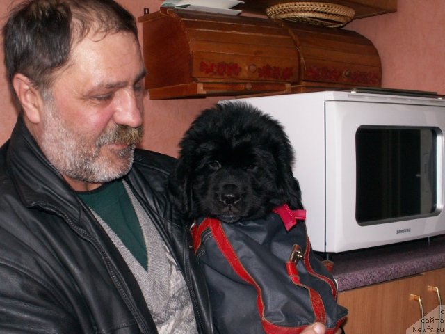 Фотография № 61042