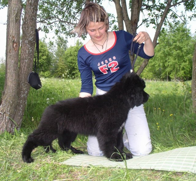 Фотография № 61043