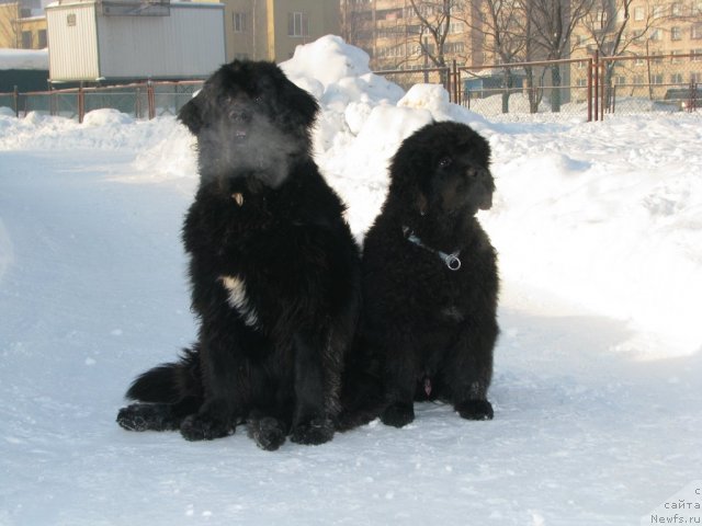 Фотография № 61045