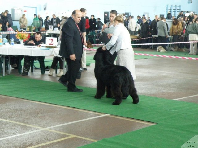 Фотография № 61058