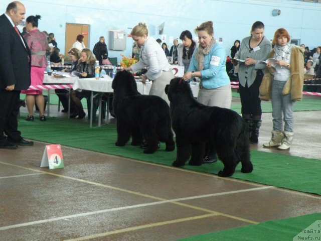 Фотография № 61060