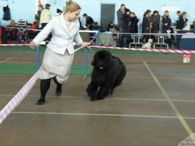 Фотография № 61062