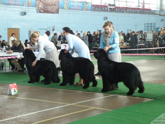 Фотография № 61064