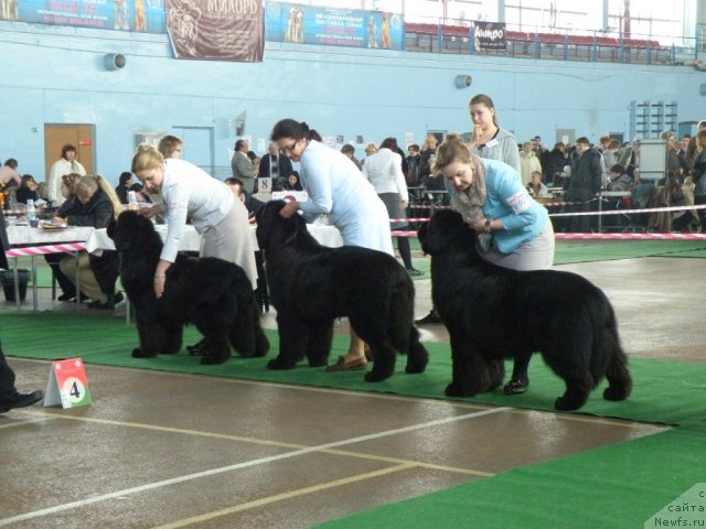 Фотография № 61065