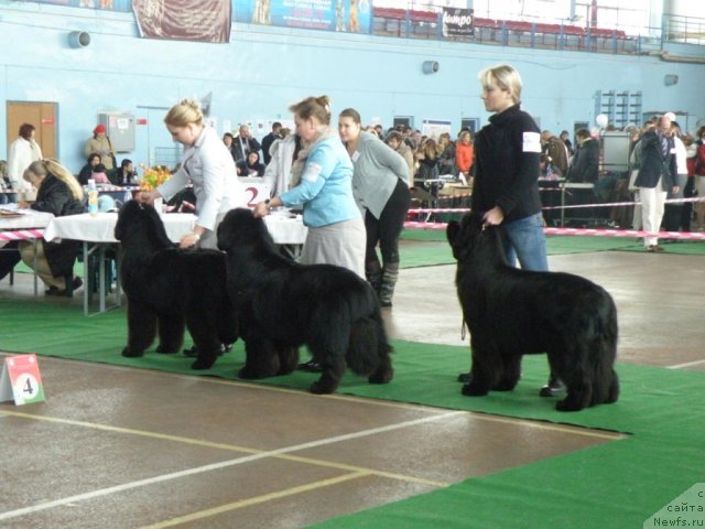 Фотография № 61067