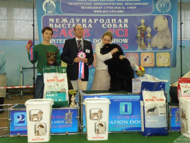 Фотография № 61070