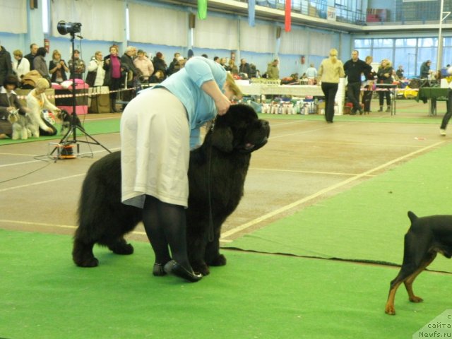 Фотография № 61072