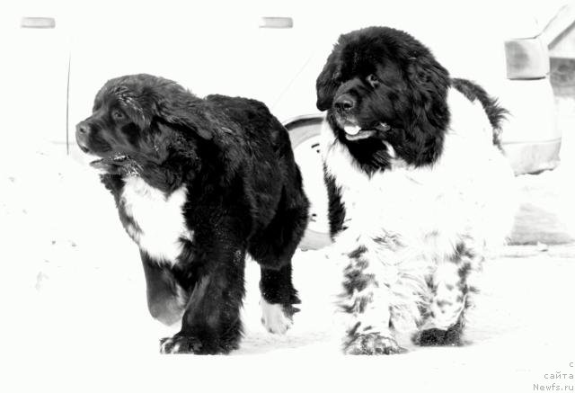 Фотография № 61193