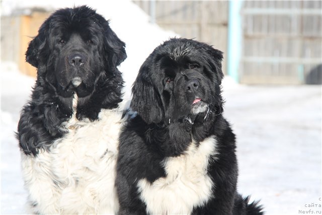 Фотография № 61194