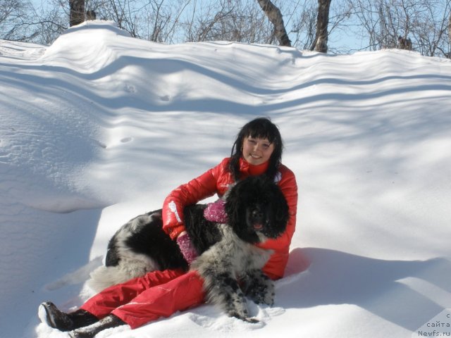 Фотография № 61195