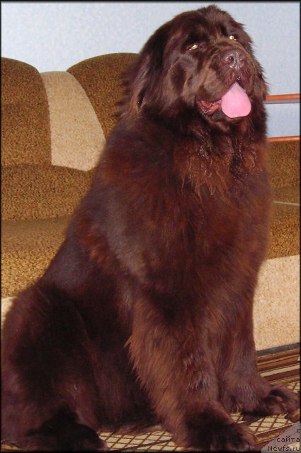 Фотография № 61196