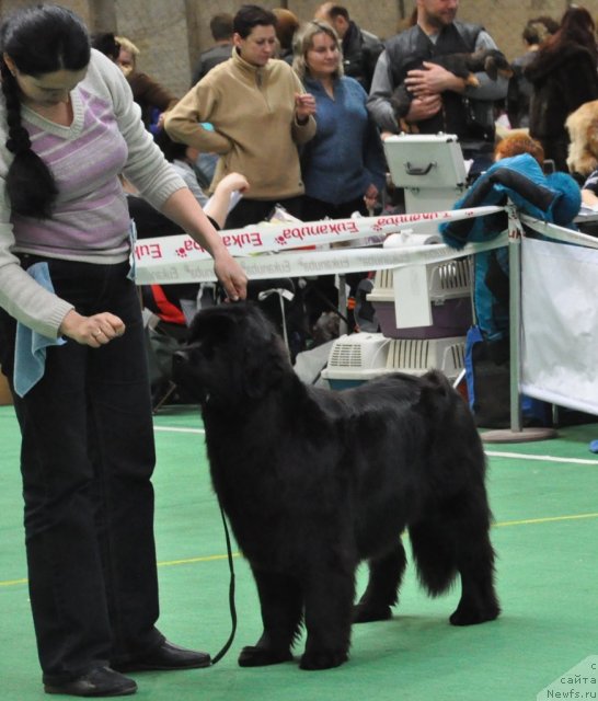 Фотография № 61198