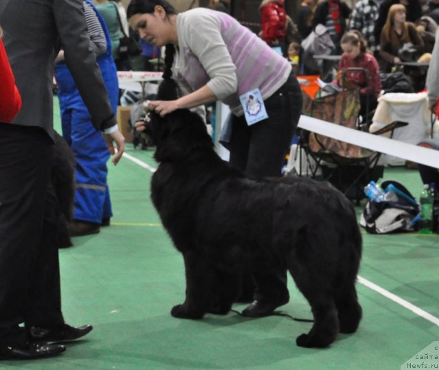 Фотография № 61199