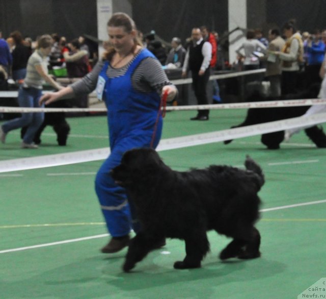 Фотография № 61201