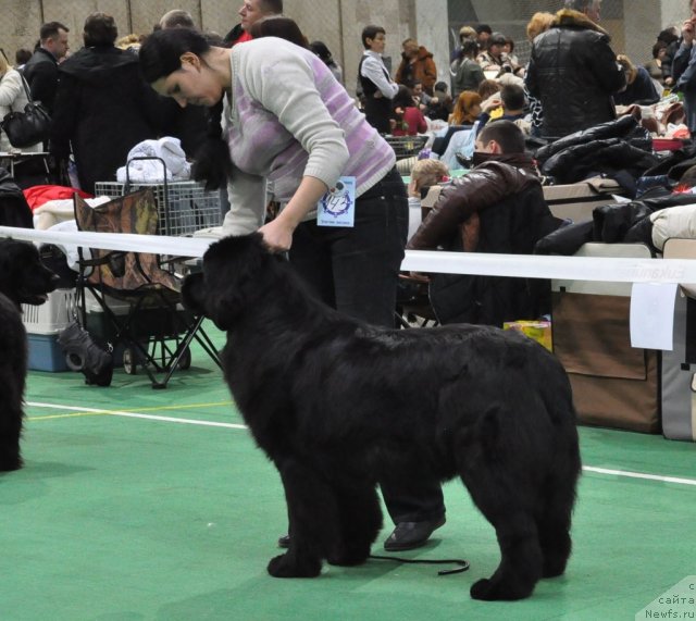 Фотография № 61205